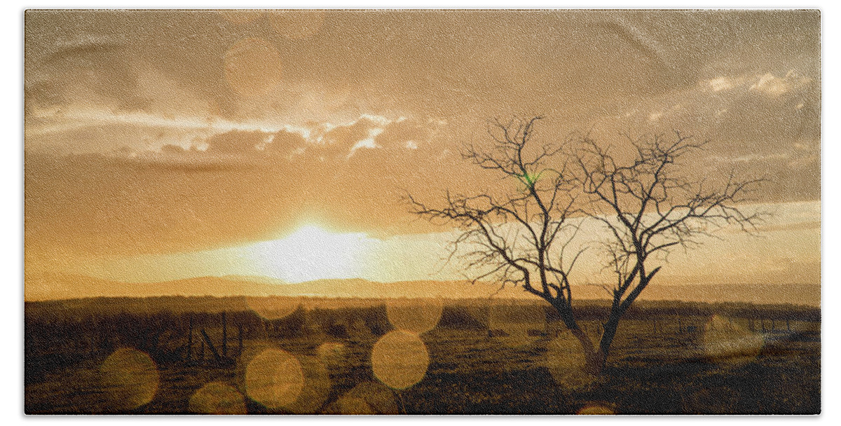 Sunset Beach Towel featuring the photograph Tree Sunset by Wesley Aston