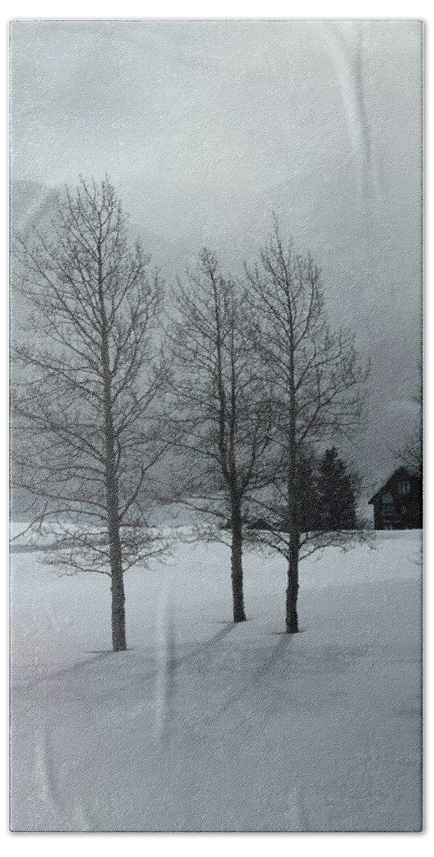 Trees Beach Towel featuring the photograph Trees in snow by Colette Lee
