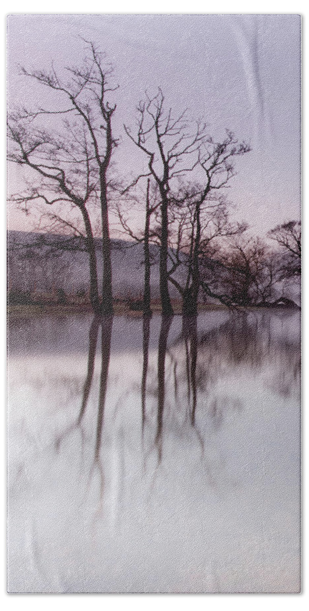 Landscape Beach Towel featuring the photograph Trees in the Mist on Lake Ullswater by Anita Nicholson