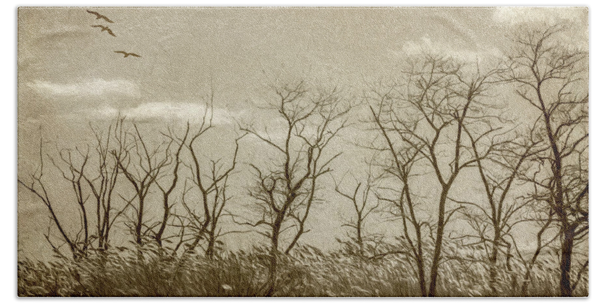 Trees Beach Towel featuring the photograph Treescape In Sepia by Cathy Kovarik