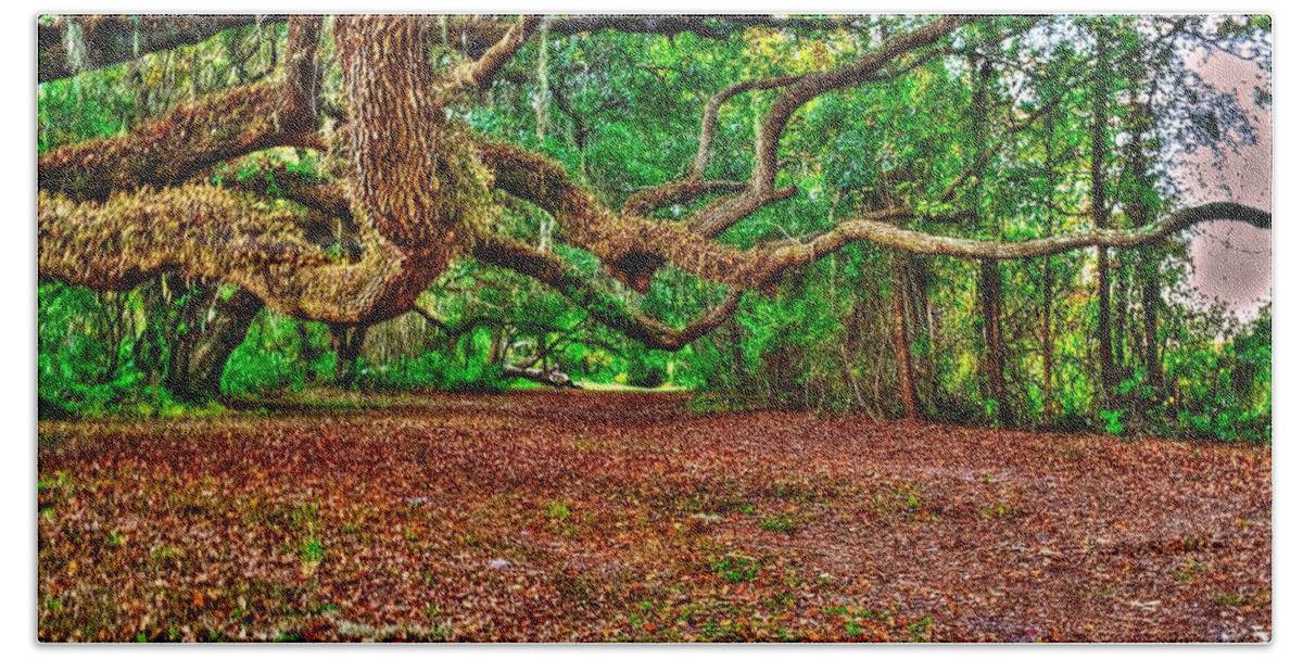 Forest Beach Towel featuring the photograph Tunnel of Trees by Richard Zentner