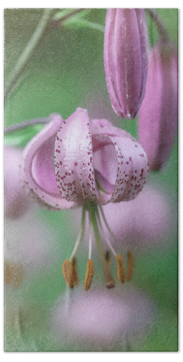 British Columbia Beach Towel featuring the photograph Turks Cap Lily by TL Wilson Photography by Teresa Wilson