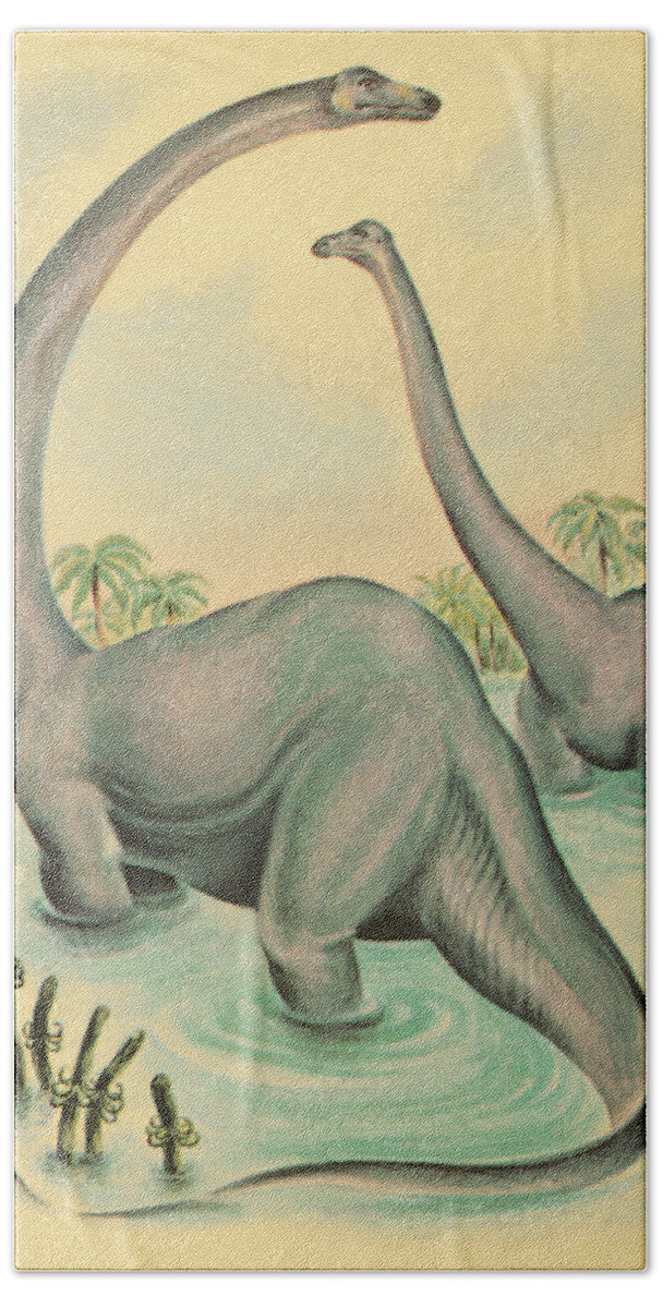 Animal Beach Towel featuring the drawing Two Brontosaurus by CSA Images