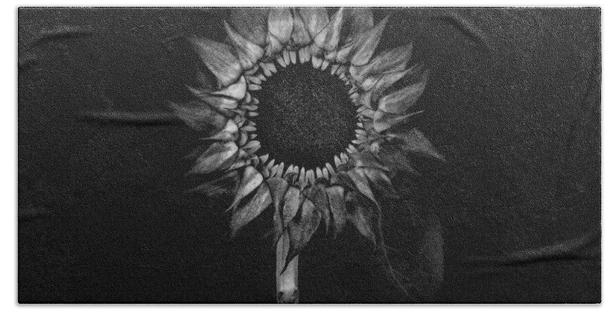 Sunflower Beach Towel featuring the photograph Sunflower in black and white by Alessandra RC