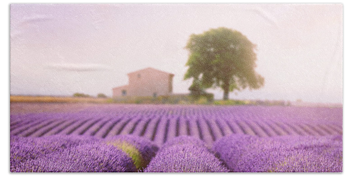 Lavender Field Beach Sheet featuring the photograph Valensole Plateau 2 by Giovanni Allievi