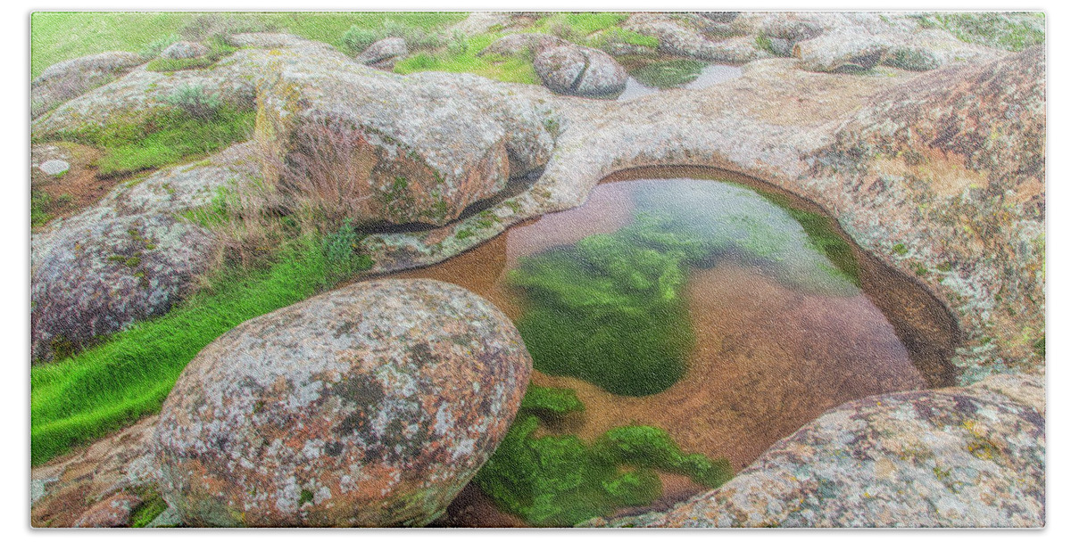 Landscape Beach Towel featuring the photograph Vernal Pool at Vasco Caves by Marc Crumpler