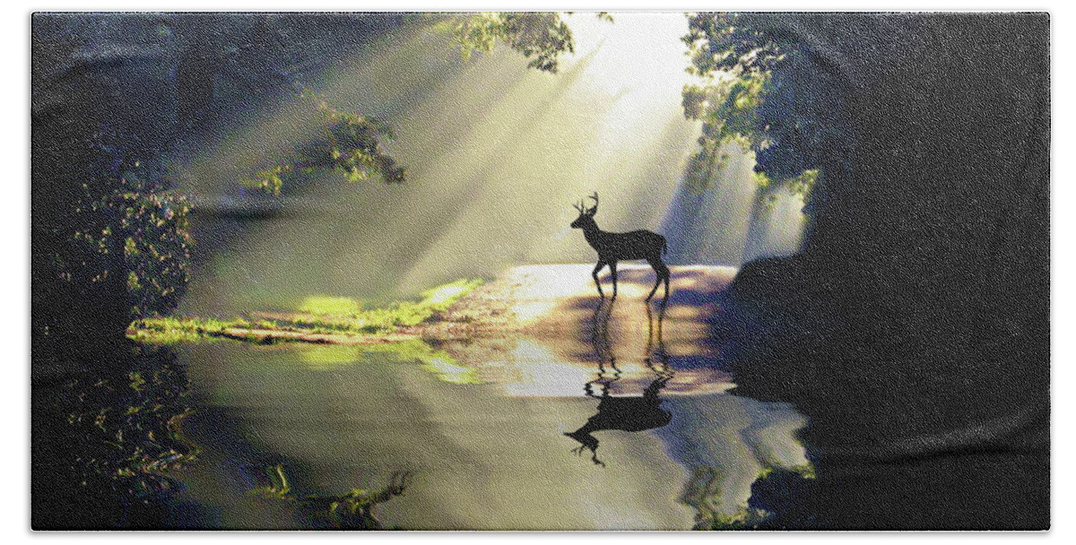 2d Beach Towel featuring the photograph Wake Up Deer by Brian Wallace
