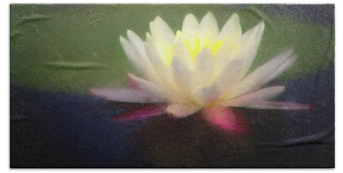 Flower Beach Towel featuring the digital art Water Lily 1 by Steve DaPonte