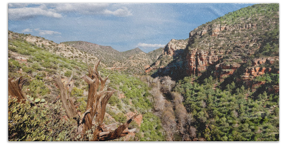 Arid Climate Beach Towel featuring the photograph Wet Beaver Creek Canyon by Jeff Goulden
