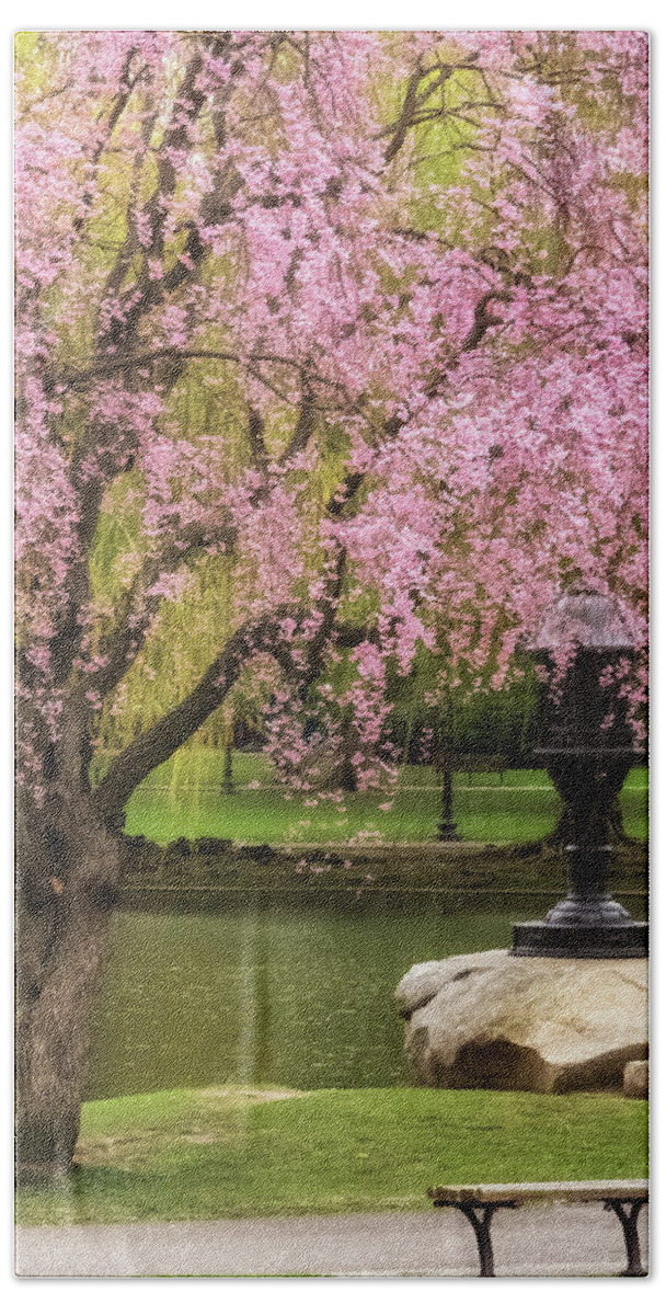 April Beach Towel featuring the photograph While This Cherry Gently Weeps by Sylvia J Zarco