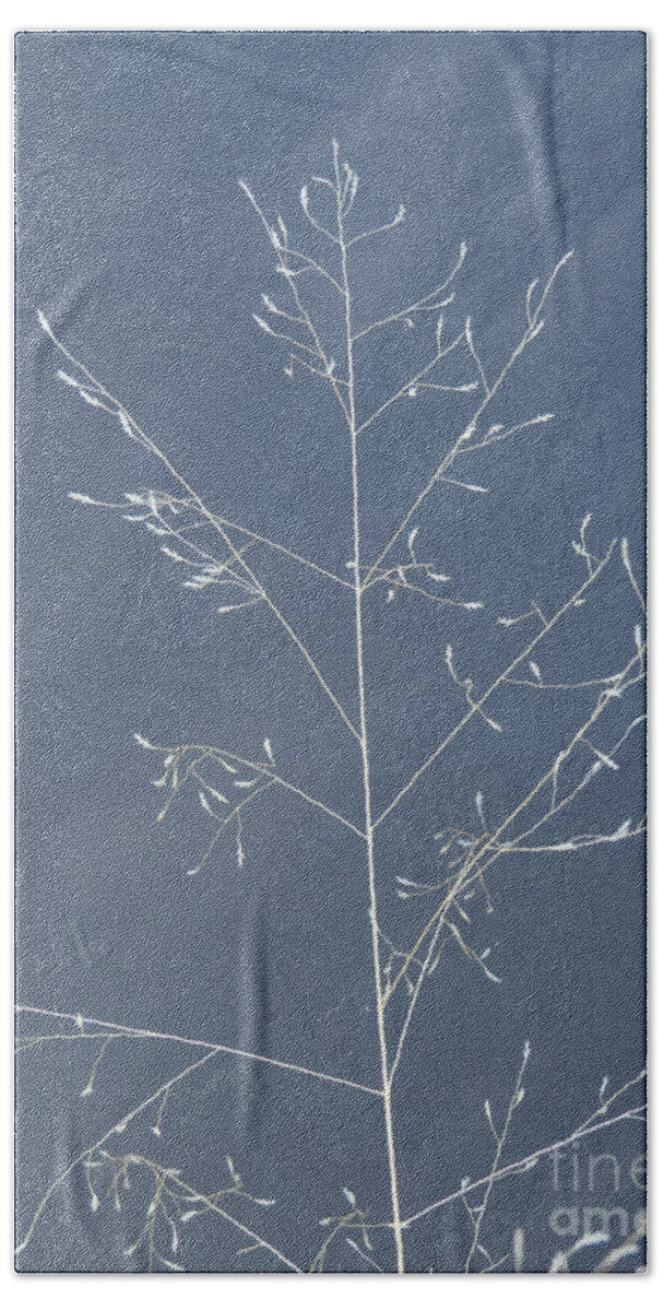 Photograph Beach Towel featuring the photograph Wispy Stems of Grass by Christy Garavetto