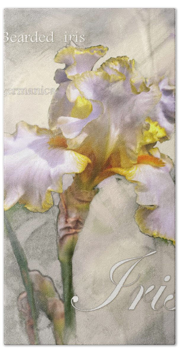 Spring Beach Towel featuring the digital art White and Yellow Iris Graphic by Mark Mille