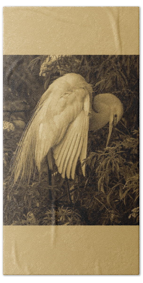 White Egret Beach Towel featuring the photograph White Egret in Tree by Dorothy Cunningham