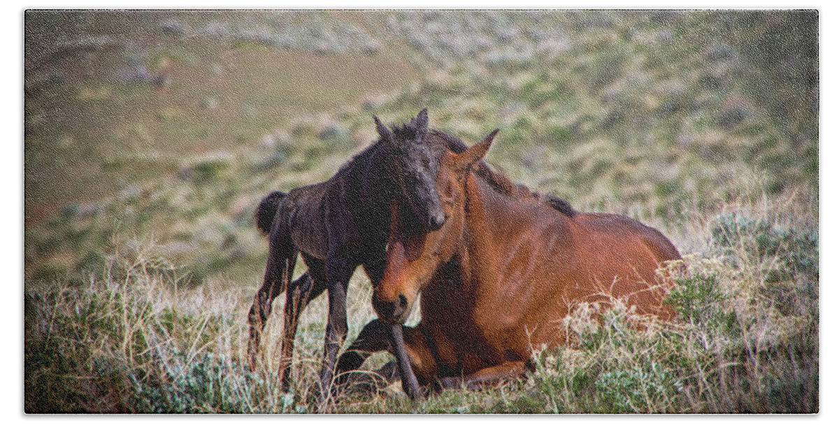 Baby Foal Beach Sheet featuring the photograph Wild black new born foal and mare by Waterdancer
