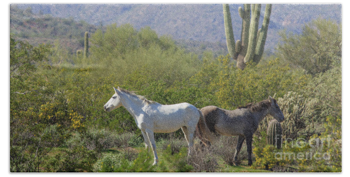 Wild Beach Sheet featuring the photograph Wild Horses Tonto National Forest by Edward Fielding