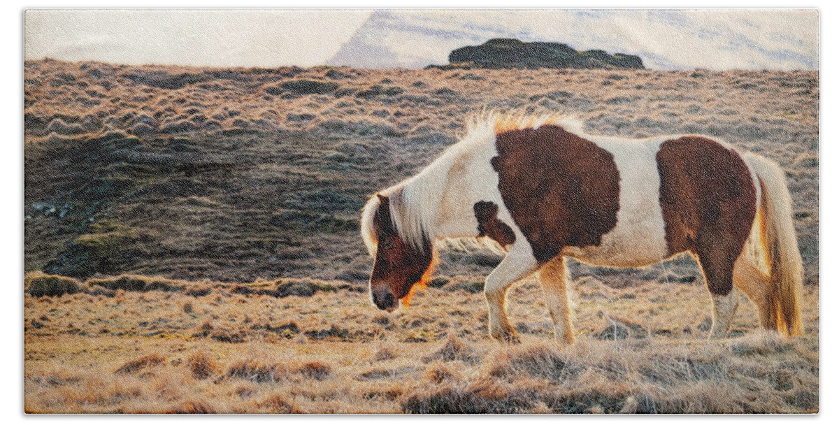 Horse Beach Towel featuring the photograph Wild Icelandic Horse by Kathryn McBride