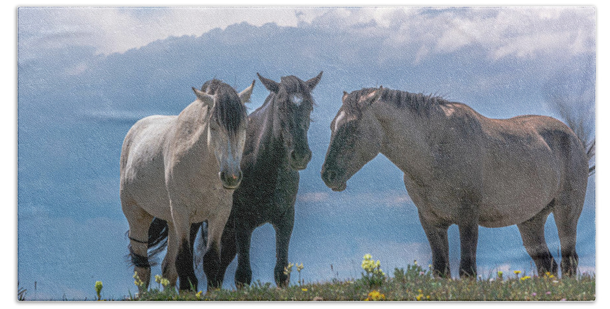 Pryor Mountain Beach Towel featuring the photograph Wild Mustangs of Montana by Douglas Wielfaert