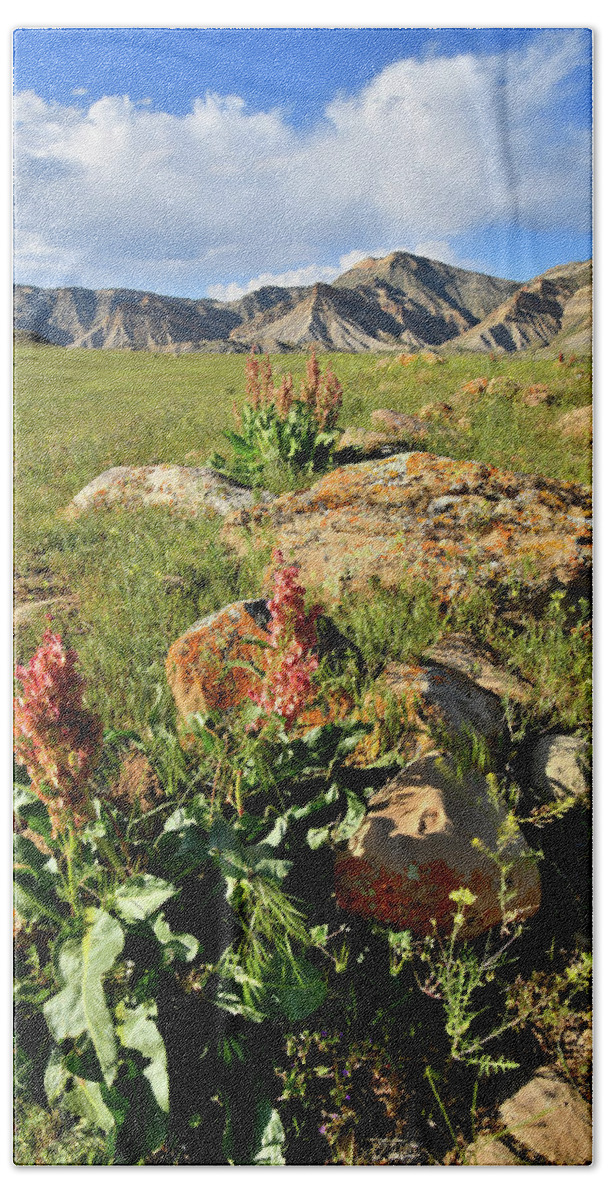 Book Cliffs Beach Towel featuring the photograph Wildflower Blooms in Book Cliffs by Ray Mathis