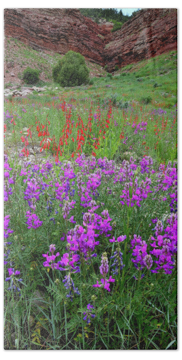 Colorado Beach Towel featuring the photograph Wildflower Garden along Highway 145 by Ray Mathis