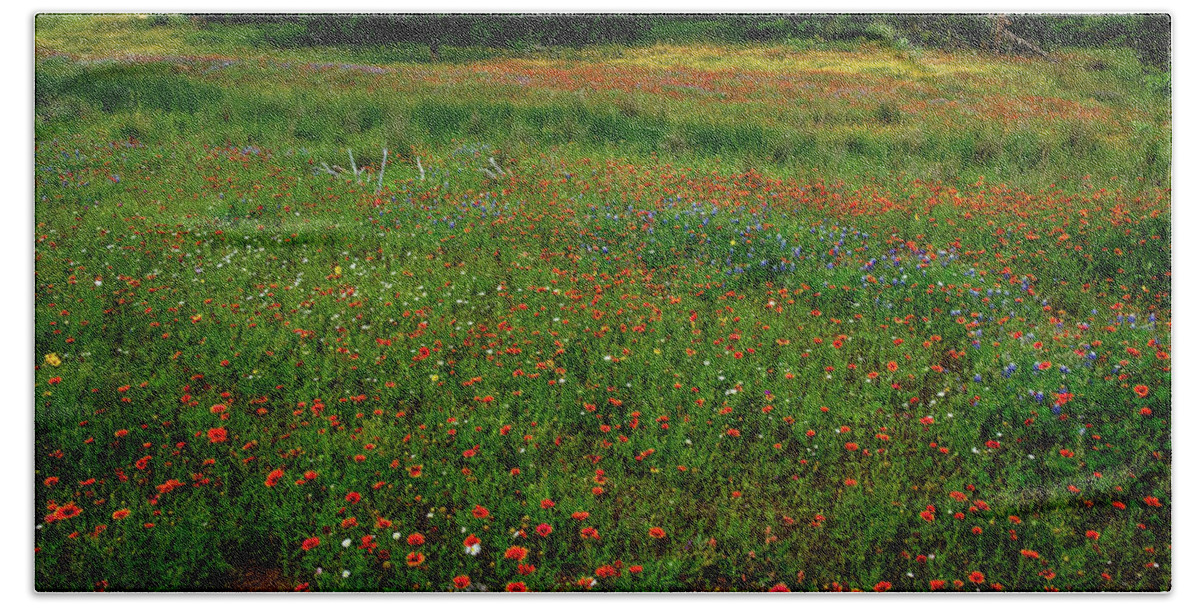 Texas Wildflowers Beach Towel featuring the photograph Wildflower Glory by Johnny Boyd