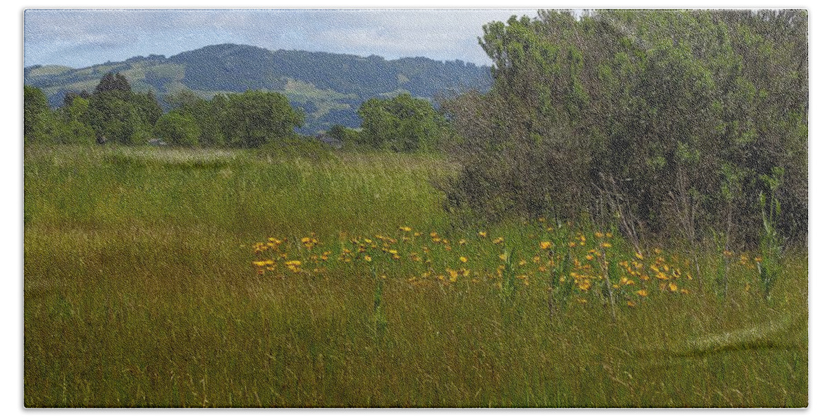 Landscape Beach Towel featuring the photograph Wildflowers Grow Where Planted by Richard Thomas