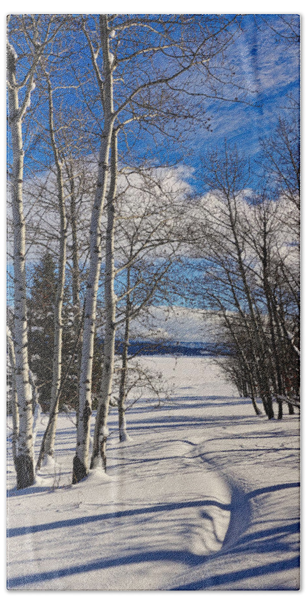 Snow Beach Sheet featuring the photograph Winter Peace by Tom Gresham