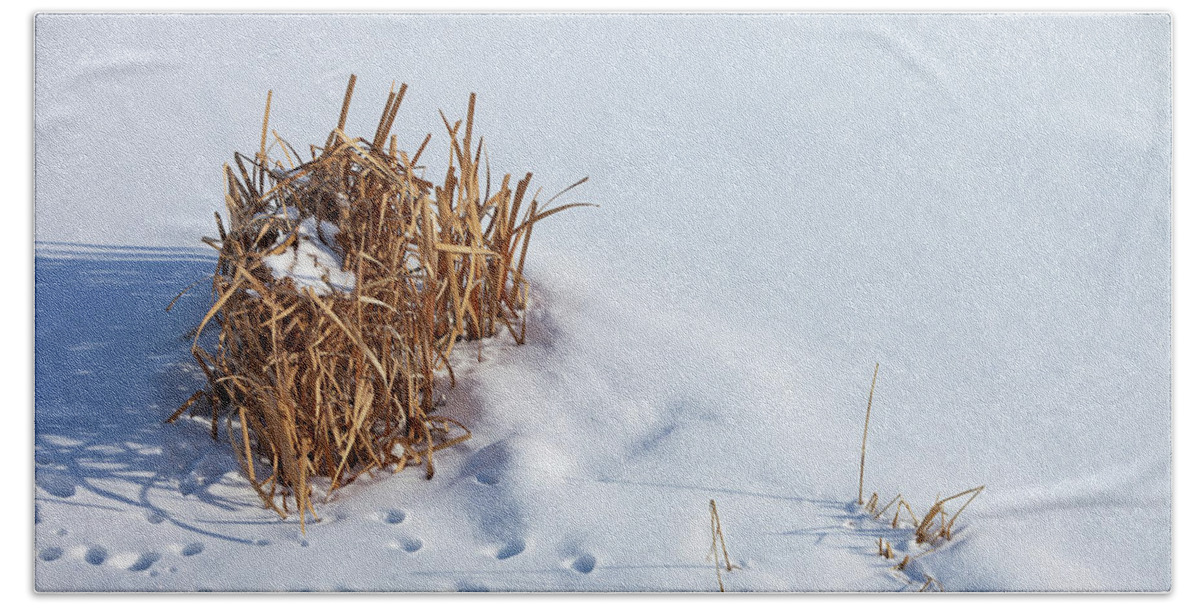 Reeds Beach Towel featuring the photograph Winter Reeds by Todd Klassy