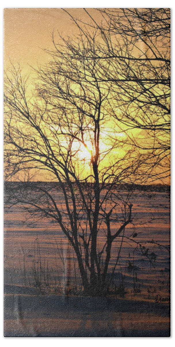 Winter Beach Towel featuring the photograph Winter Sunset by Diane Chandler