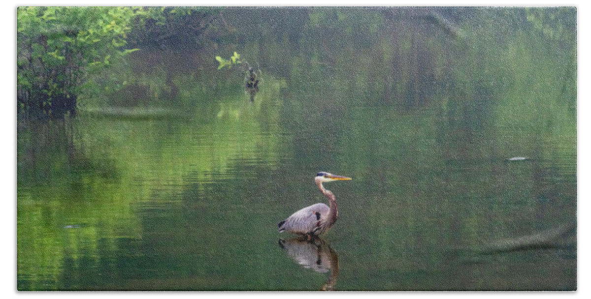 Great Blue Heron Beach Towel featuring the photograph Wistful Wader by Marcy Wielfaert