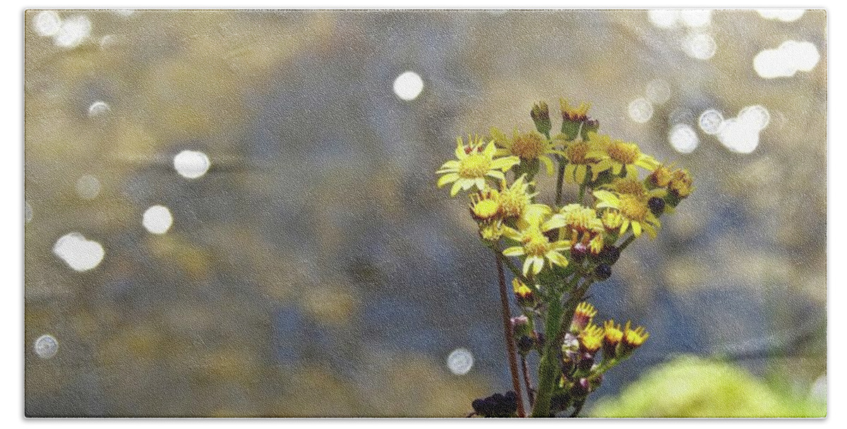 Yellow Beach Towel featuring the photograph Wonderful Weeds By The Water by Kathy Chism