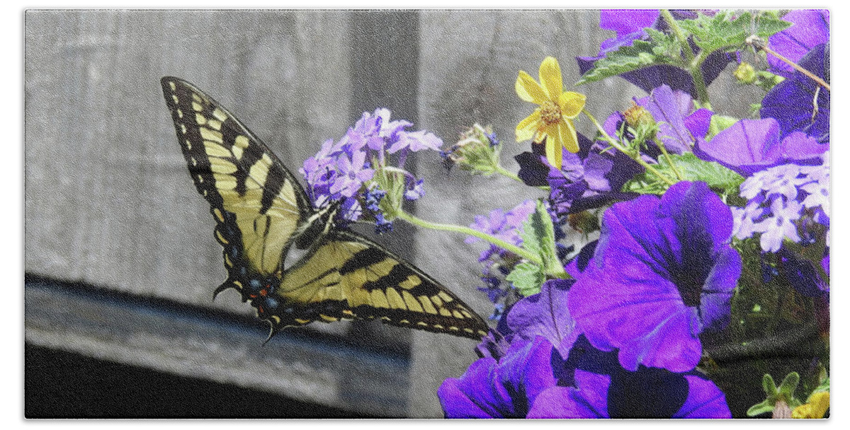 Butterfly Beach Towel featuring the photograph Yellow Butterfly by Kathy Ozzard Chism