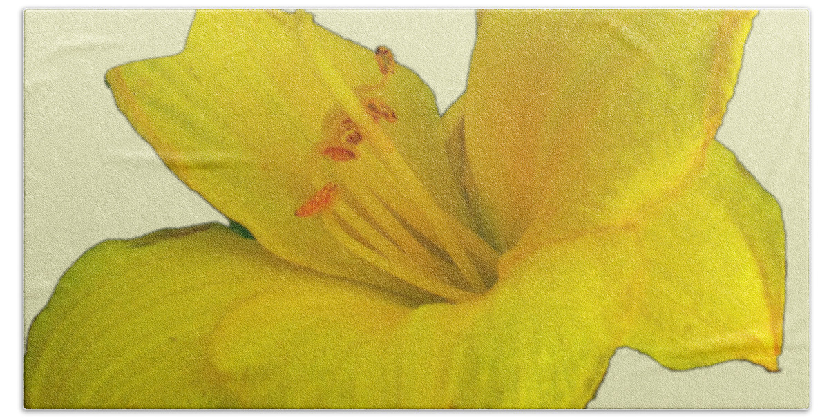 Yellow Beach Towel featuring the photograph Yellow Lily Flower Photograph Best for Shirts by Delynn Addams