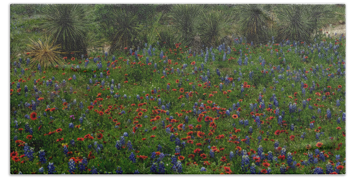 Texas Bluebonnets Beach Towel featuring the photograph Yucca and Wildflowers by Johnny Boyd