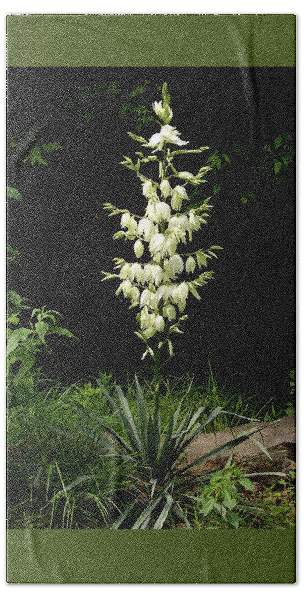 Yucca Beach Sheet featuring the photograph Yucca Blossoms by Nancy Ayanna Wyatt