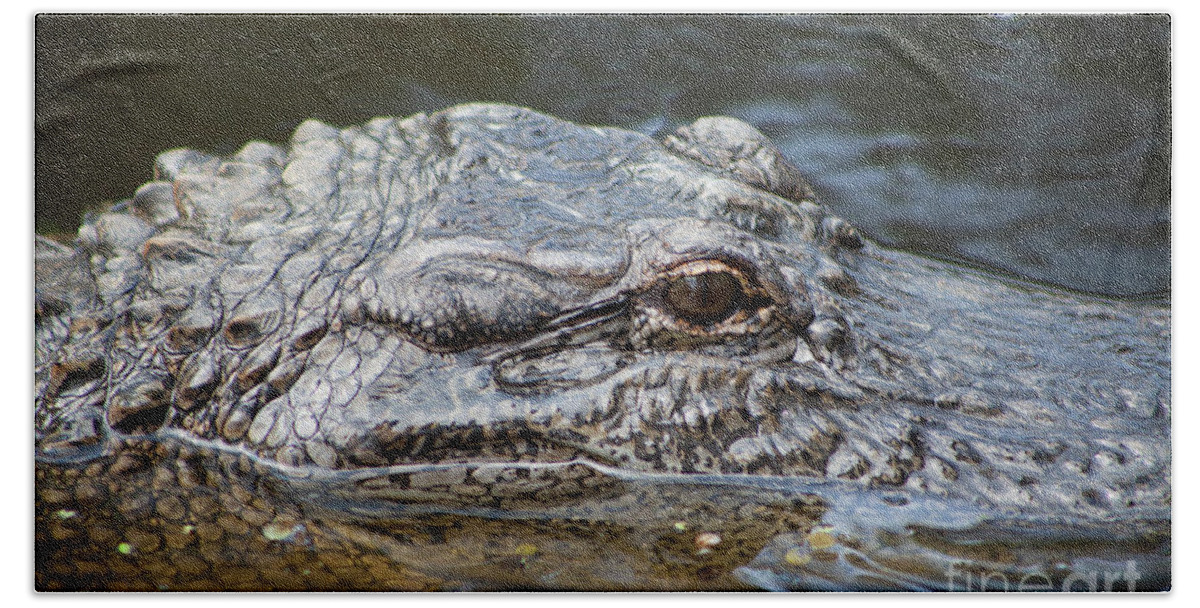 Alligator Beach Towel featuring the photograph Alligator Eye #1 by Kimberly Blom-Roemer