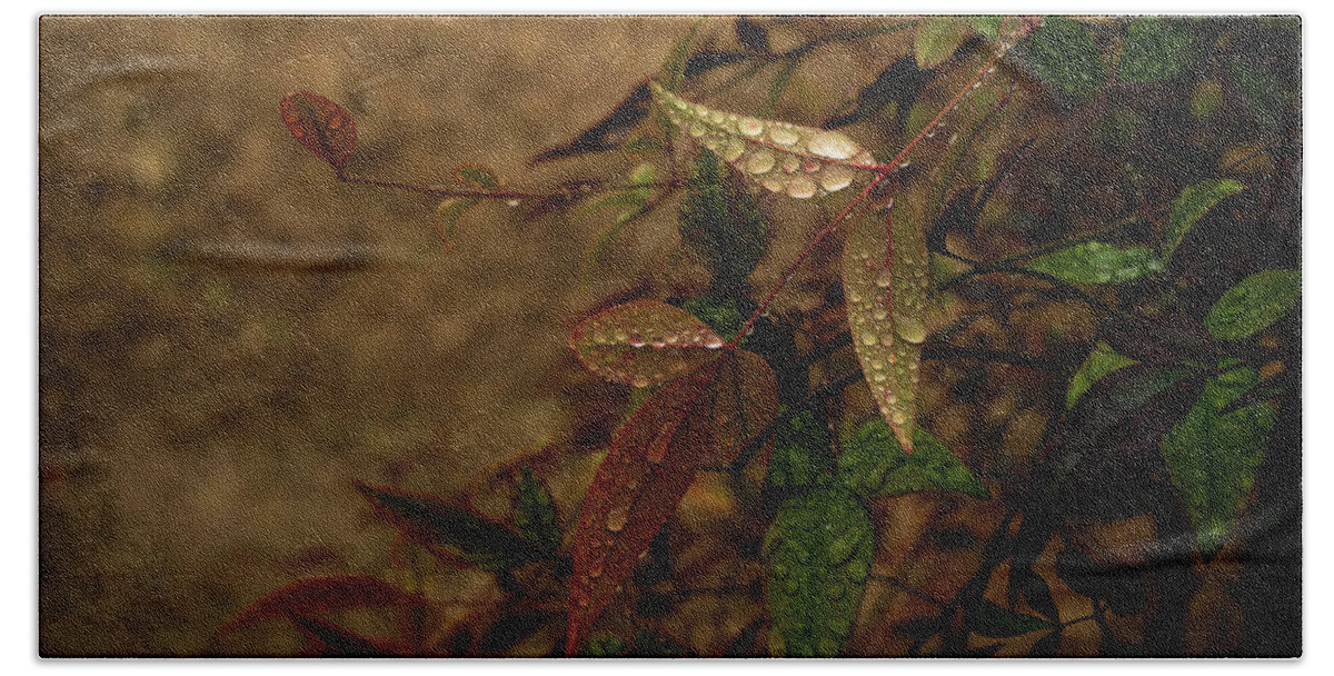 Leaves Beach Towel featuring the photograph Autumn Leaves #1 by Karen Harrison Brown