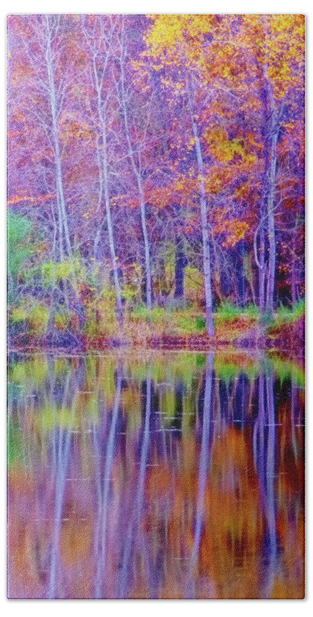 Lake Reflection Beach Towel featuring the photograph Autumn Reflection #1 by Tom Singleton