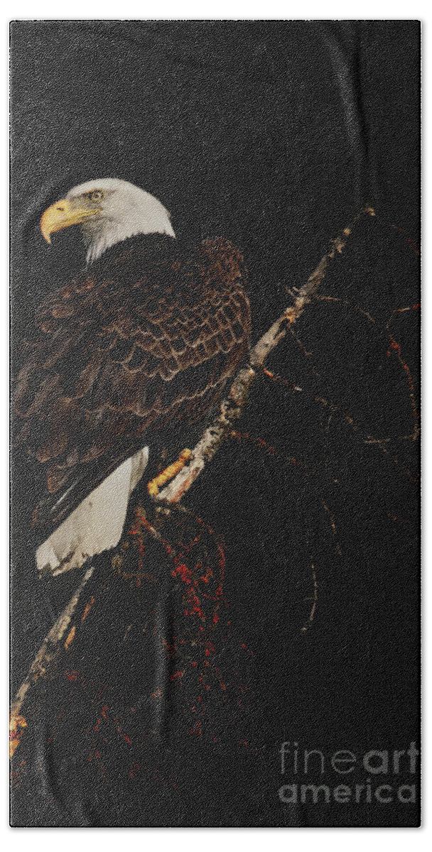 Bald Eagle Beach Towel featuring the photograph Bald Eagle #2 by Thomas Nay