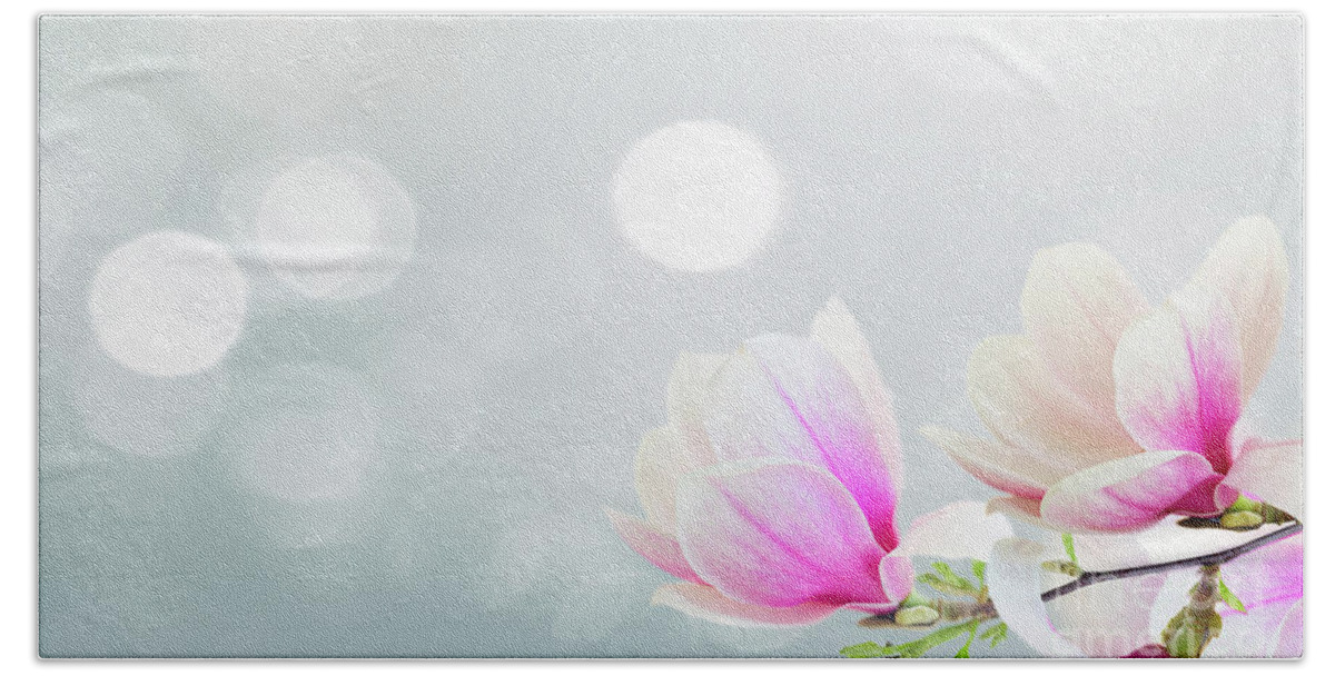 Magnolia Beach Towel featuring the photograph Blossoming Pink Magnolia Flowers by Anastasy Yarmolovich