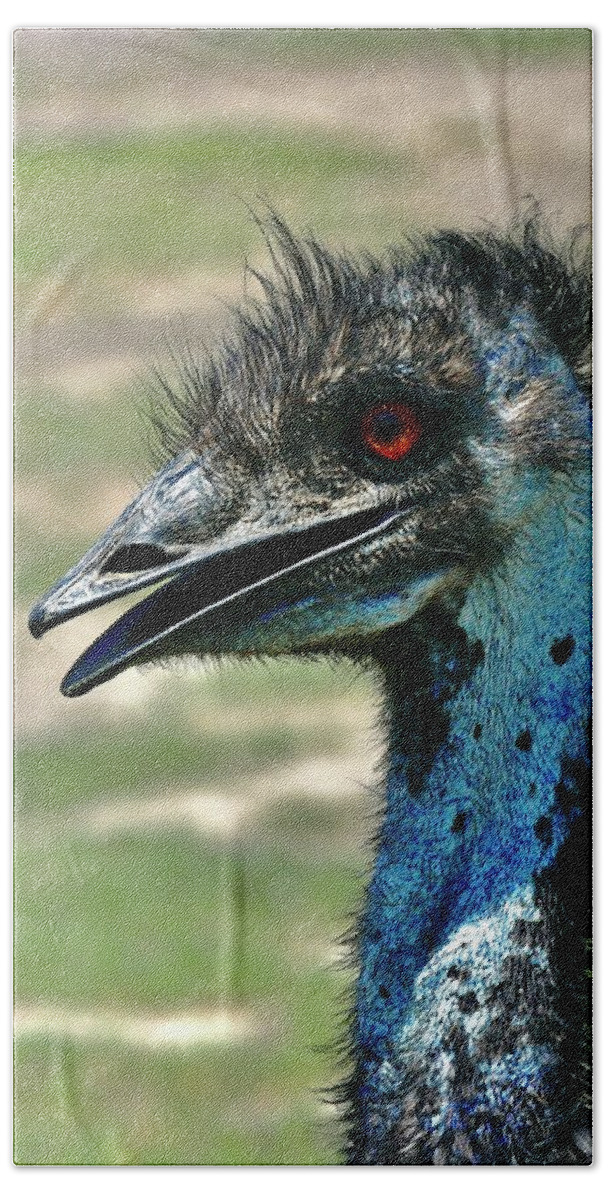Emu Beach Towel featuring the photograph Emu #1 by Sarah Lilja