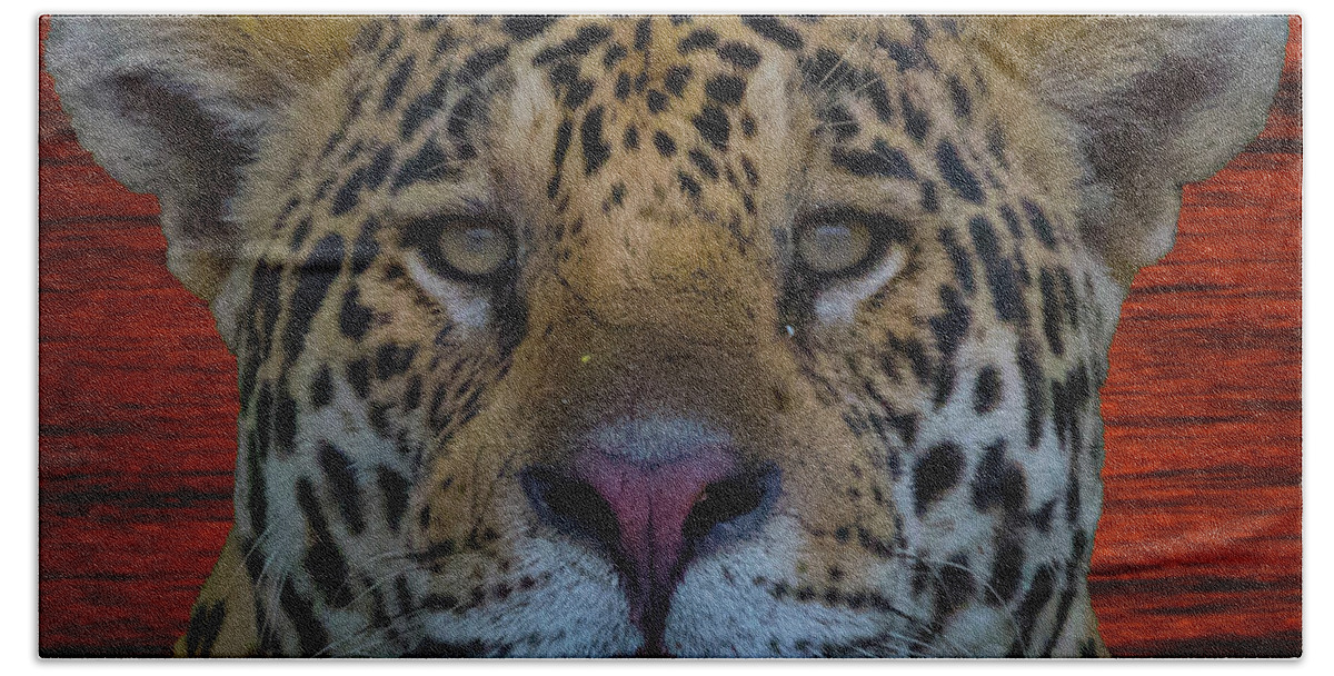 Jaguar Beach Towel featuring the photograph Jaguar #1 by Patrick Nowotny
