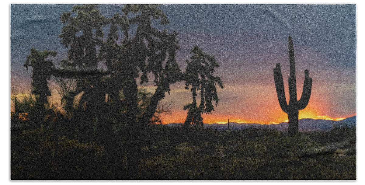 Saguaro Sunset Beach Towel featuring the photograph Just Another Saguaro Sunset #1 by Saija Lehtonen