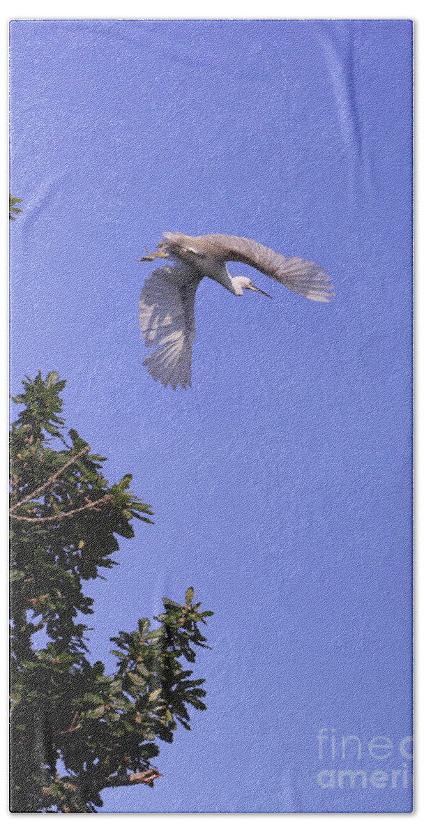 Wildlife Beach Towel featuring the photograph Egret in Flight by Terri Waters