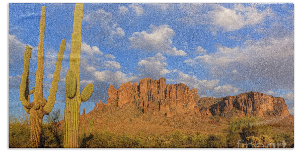 Apache Junction Beach Towel featuring the photograph Lost Dutchman State Park, Arizona #1 by Henk Meijer Photography