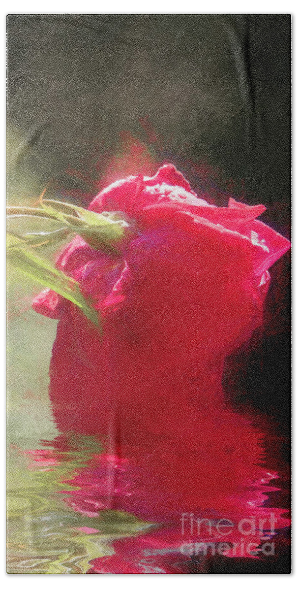 Rose Beach Towel featuring the photograph Misty Rose Reflections #1 by Elaine Teague