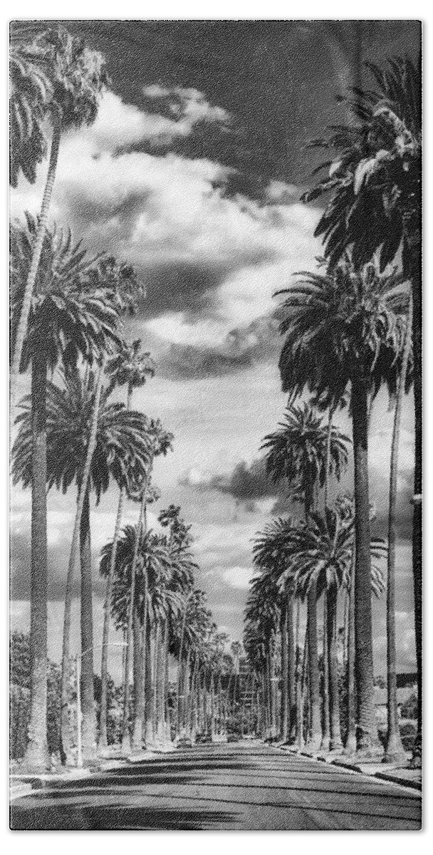 Palm Trees Beach Towel featuring the photograph Palm Tree Lined Street - Beverly Hills #1 by Mountain Dreams