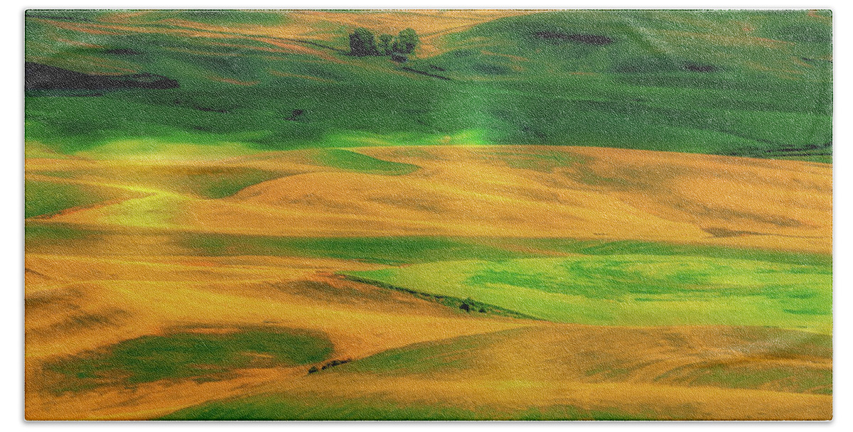 Hdr Beach Towel featuring the photograph Palouse Shadows #1 by David Patterson