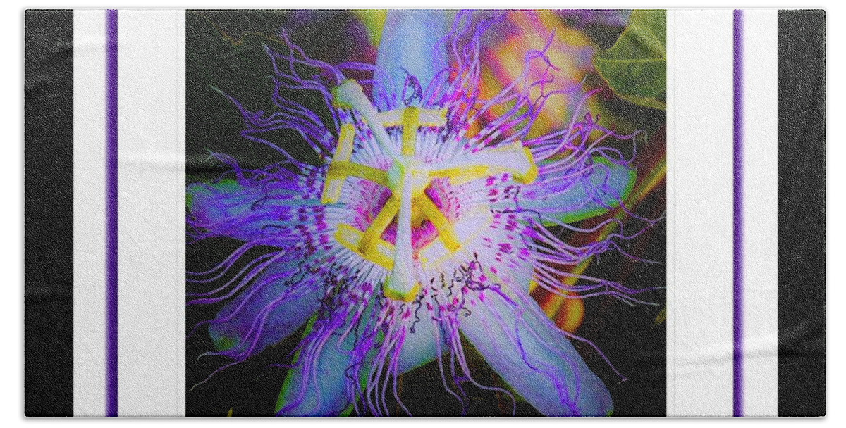  Beach Towel featuring the photograph Purple Passion Flower #1 by Shirley Moravec