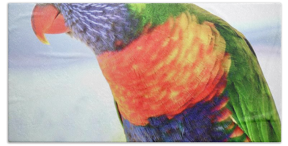 Rainbow Beach Towel featuring the photograph Rainbow Lorikeet by Sarah Lilja