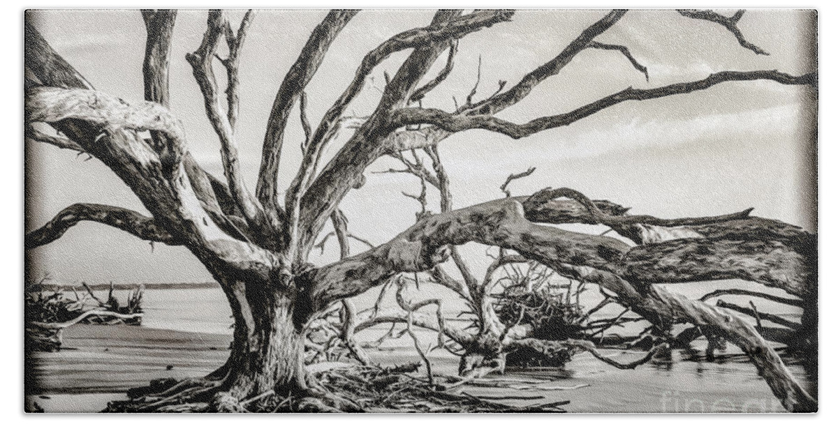 Jekyll Island Beach Towel featuring the photograph Reaching Out #1 by Phil Cappiali Jr